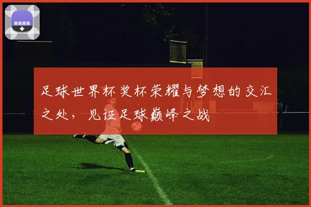 足球世界杯奖杯荣耀与梦想的交汇之处，见证足球巅峰之战
