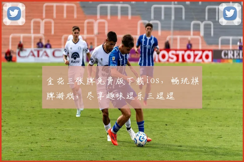 金花三张牌免费版下载ios，畅玩棋牌游戏，尽享趣味逗乐三逗逗